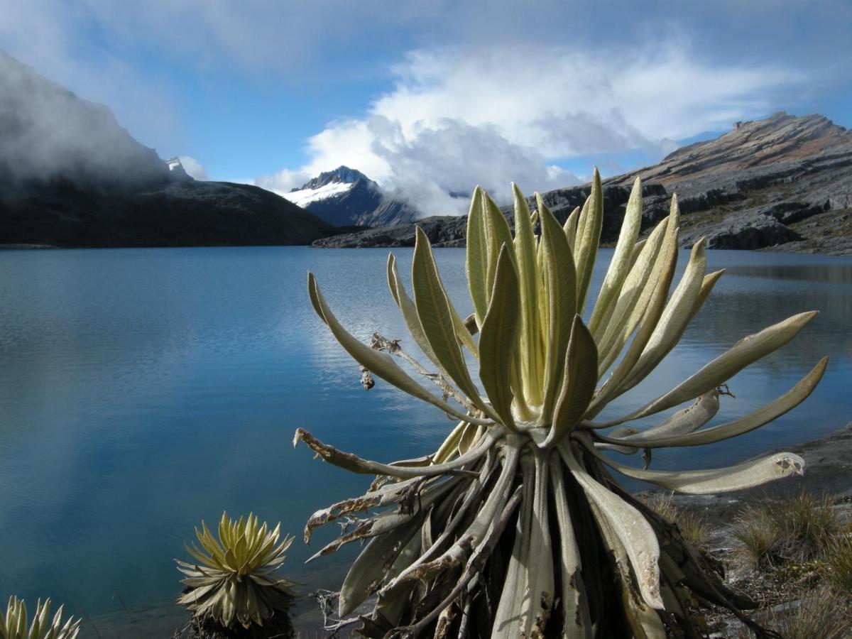 Hostal El Caminante El Cocuy Esterno foto